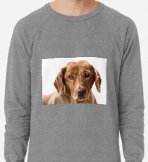 puppy eyes Lightweight Sweatshirt