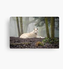 Lone Wolf Canvas Print