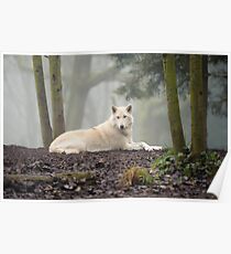 Lone Wolf Poster