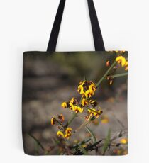 Narrow-leaf Bitter-pea, Davesia leptophylla Tote Bag