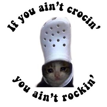 Cat Croc Meme funny | Sticker