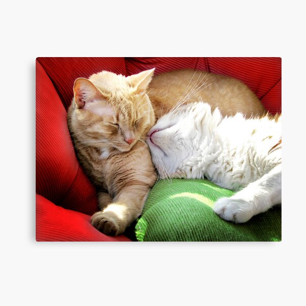 Warmth and Love for the Holidays Canvas Print