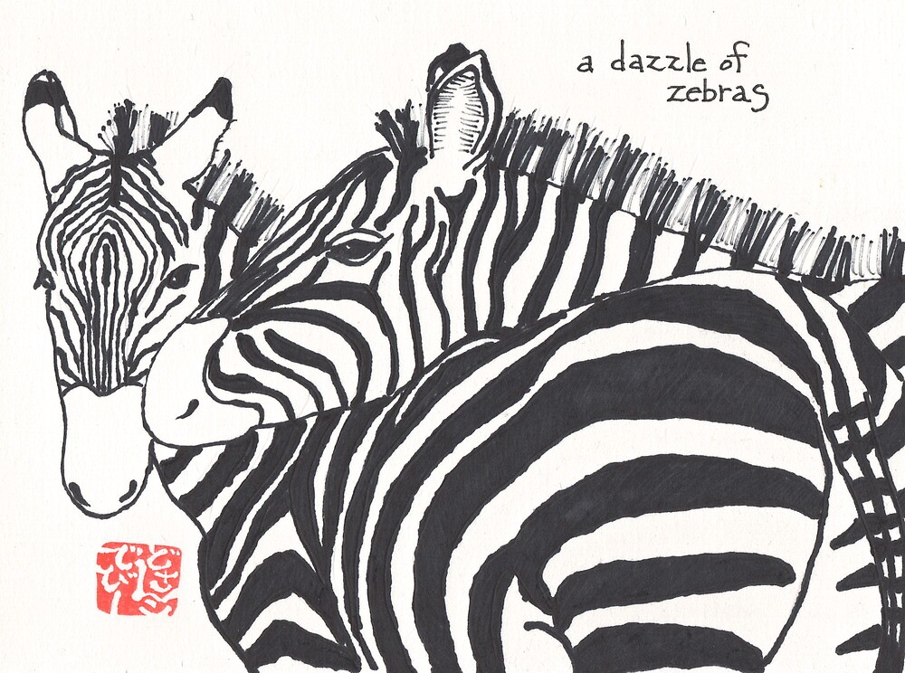 dazzle of zebras
