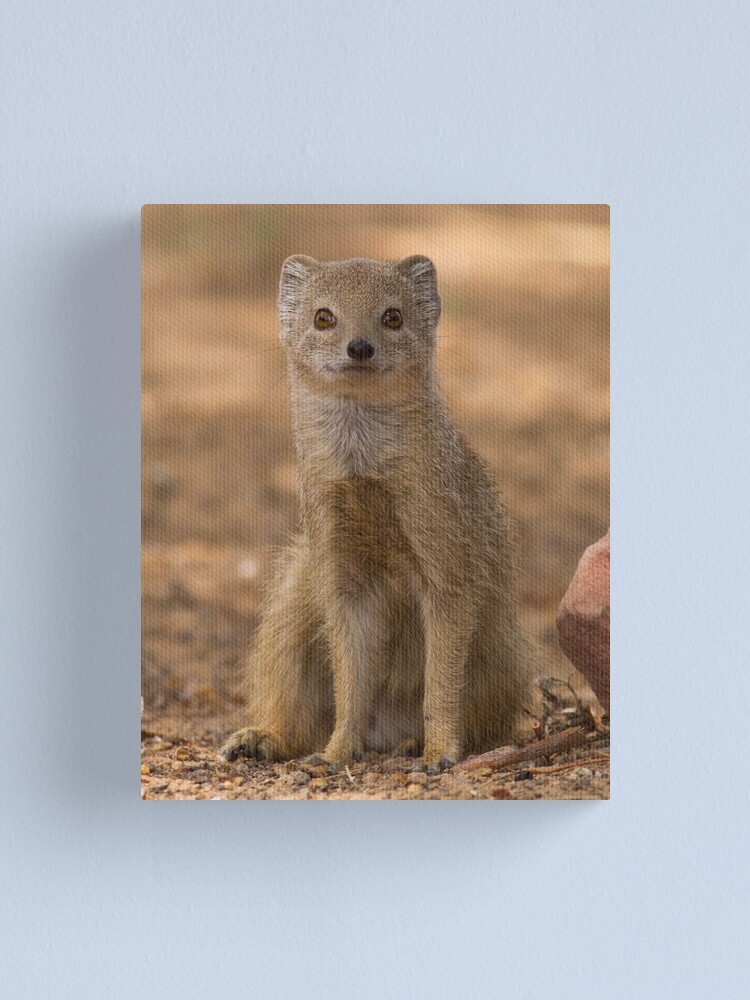 Alternate view of Yellow is the color of cute Canvas Print