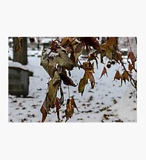 Overhang Photographic Print