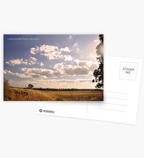 Rural sunset Postcards