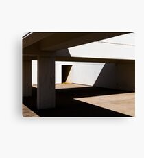 Shadowplay Canvas Print