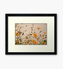 “For every minute you are angry you lose sixty seconds of happiness.” ― Ralph Waldo Emerson Framed Print