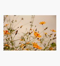 “For every minute you are angry you lose sixty seconds of happiness.” ― Ralph Waldo Emerson Photographic Print
