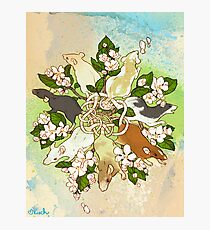 Bright Spring Rat King Photographic Print