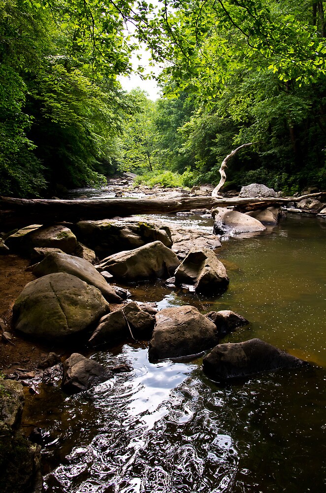 &ldquo;Lower Youghiogheny River&rdquo; by Tom Gotzy | Redbubble