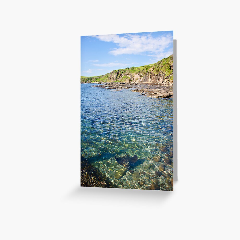 Sting Ray Greeting Card