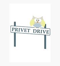 Number 4 Privet Drive Photographic Print