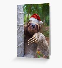 Christmas animal sloth wearing santa hat Greeting Card