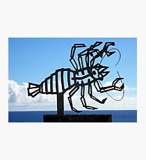 Jameos del Agua Lobster Photographic Print