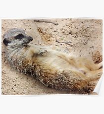 Chillout Poster