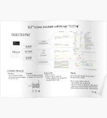 ELF101 a Linux executable walkthrough Poster