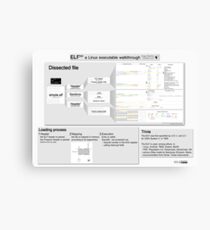 ELF101 (pro) Canvas Print
