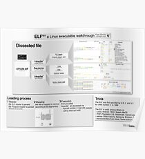 ELF101 (pro) Poster