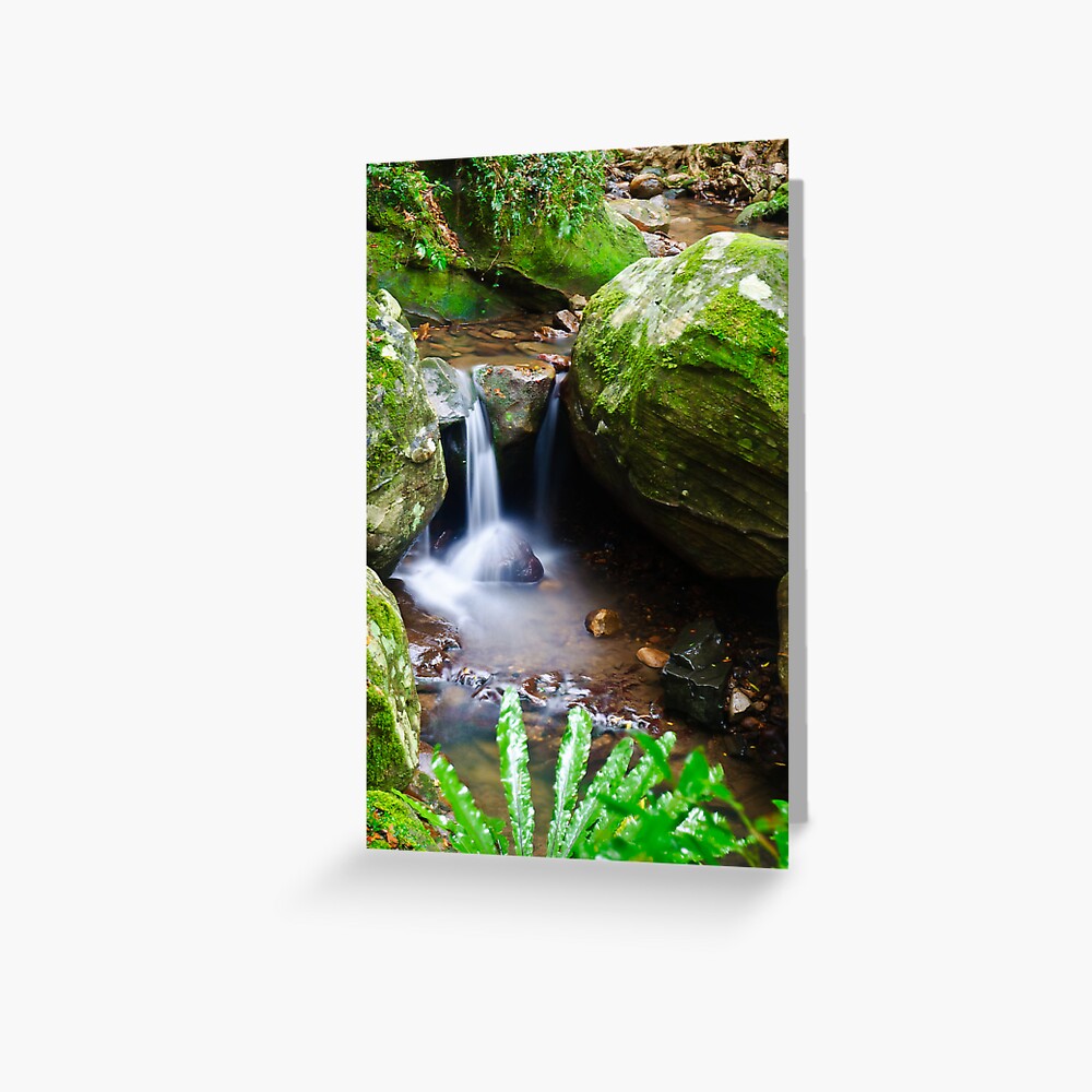 Little Waterfall - Minnamurra Rainforest Greeting Card