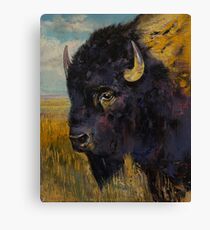 Bison Canvas Print