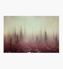 Hazy Days Photographic Print