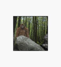 Oregon Sasquatch Art Board