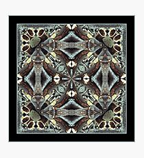 The Woodpile Photographic Print