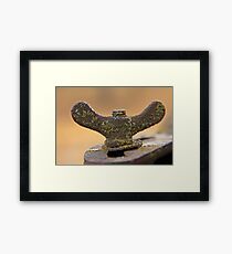 Wing Nut Gerahmtes Wandbild
