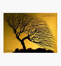 Silhouettes Calendar Cover Photographic Print