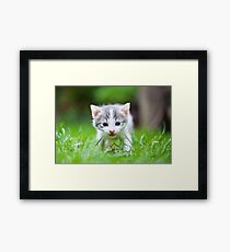 I see you Framed Print