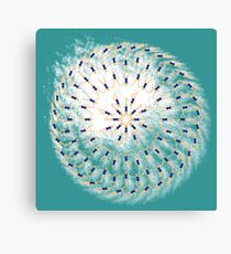 bathing beauties Canvas Print