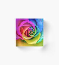 Rainbow Rose Acrylic Block