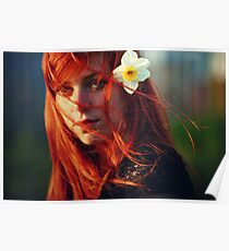 Brightness Poster