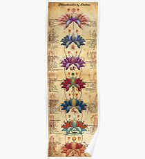 Characteristics of Chakras Poster