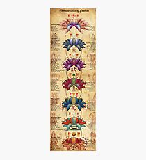 Characteristics of Chakras Photographic Print
