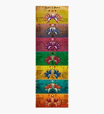The System of Chakras - Contrastive Style Photographic Print