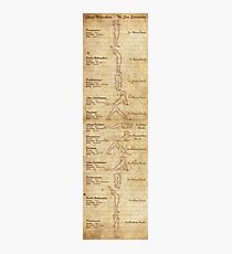 Suryanamaskar – The Sun Salutation (Portrait Format) Photographic Print