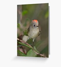 The Little King Greeting Card