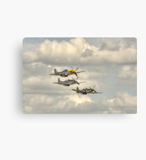 Mustangs Canvas Print