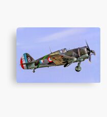 Curtiss Hawk H75C-1 No 82 G-CCVH Canvas Print