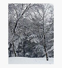 Winter Storm Photographic Print