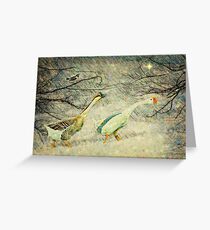 We should have flown south - greeting card Greeting Card