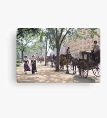 Cab Stand at Madison Square Garden, 1900 Canvas Print