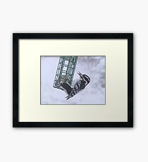 Winter Survival Framed Print