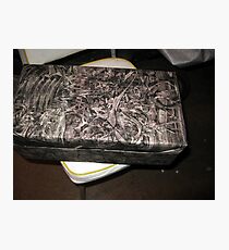 Dah Dah Gift Wrap Photographic Print