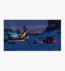 December Salvage Photographic Print
