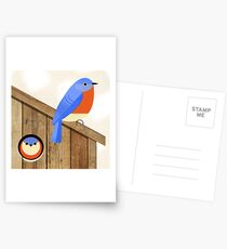 blue bird house Postcards