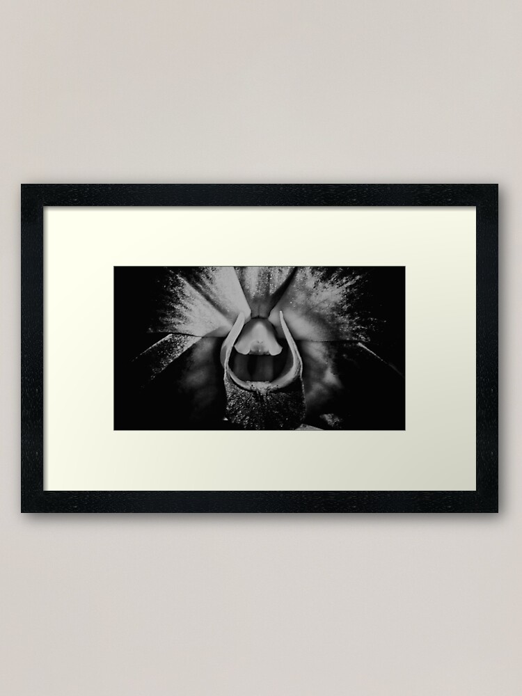 Black White Orchid Framed Art Print By Sorsillo Redbubble