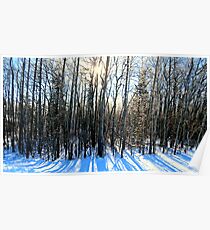 Snow Scene Poster